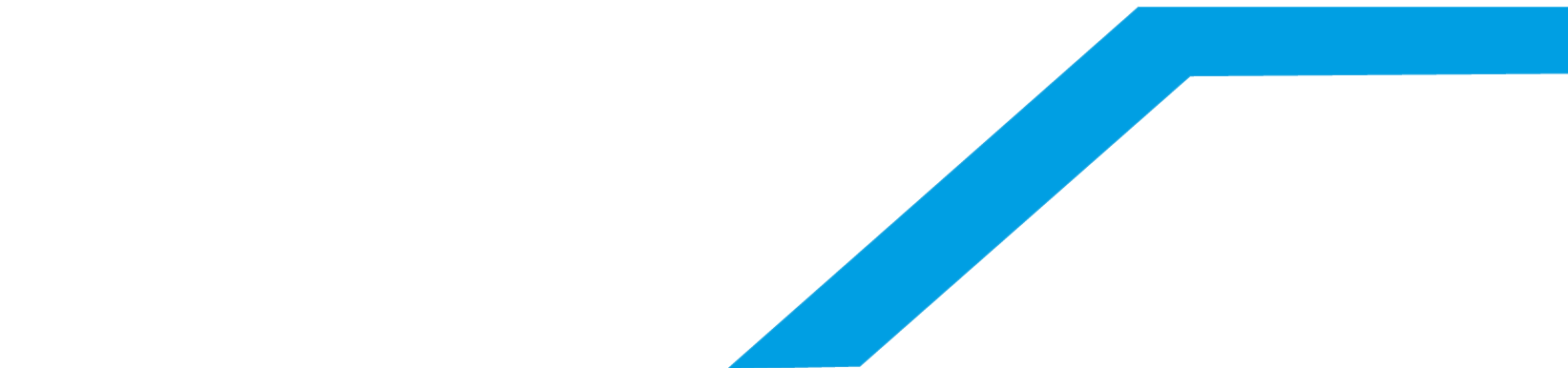 Next Logo